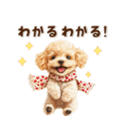 毎日つかえる♪癒しトイプードル（個別スタンプ：23）