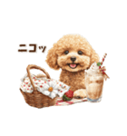 毎日つかえる♪癒しトイプードル（個別スタンプ：26）