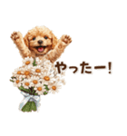 毎日つかえる♪癒しトイプードル（個別スタンプ：27）