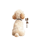 毎日つかえる♪癒しトイプードル（個別スタンプ：35）