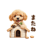 毎日つかえる♪癒しトイプードル（個別スタンプ：37）