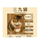 ⭐架空のペット図鑑で日常会話【おもしろい（個別スタンプ：3）