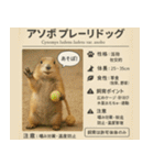 ⭐架空のペット図鑑で日常会話【おもしろい（個別スタンプ：5）