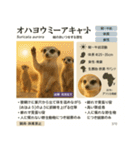 ⭐架空のペット図鑑で日常会話【おもしろい（個別スタンプ：8）
