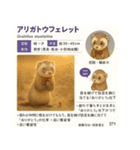 ⭐架空のペット図鑑で日常会話【おもしろい（個別スタンプ：9）