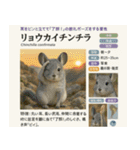 ⭐架空のペット図鑑で日常会話【おもしろい（個別スタンプ：10）