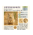 ⭐架空のペット図鑑で日常会話【おもしろい（個別スタンプ：14）