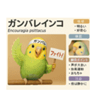 ⭐架空のペット図鑑で日常会話【おもしろい（個別スタンプ：20）
