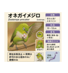 ⭐架空のペット図鑑で日常会話【おもしろい（個別スタンプ：21）