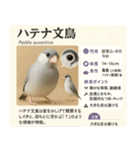 ⭐架空のペット図鑑で日常会話【おもしろい（個別スタンプ：22）