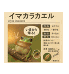 ⭐架空のペット図鑑で日常会話【おもしろい（個別スタンプ：26）