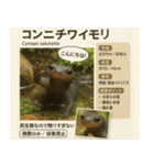 ⭐架空のペット図鑑で日常会話【おもしろい（個別スタンプ：28）