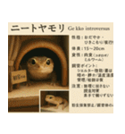 ⭐架空のペット図鑑で日常会話【おもしろい（個別スタンプ：29）