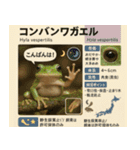 ⭐架空のペット図鑑で日常会話【おもしろい（個別スタンプ：30）