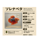 ⭐架空のペット図鑑で日常会話【おもしろい（個別スタンプ：32）