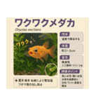 ⭐架空のペット図鑑で日常会話【おもしろい（個別スタンプ：34）
