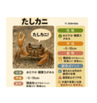 ⭐架空のペット図鑑で日常会話【おもしろい（個別スタンプ：36）