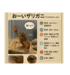 ⭐架空のペット図鑑で日常会話【おもしろい（個別スタンプ：37）