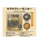 ⭐架空のペット図鑑で日常会話【おもしろい（個別スタンプ：38）