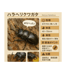 ⭐架空のペット図鑑で日常会話【おもしろい（個別スタンプ：40）