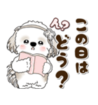 シーズー犬 2025 「約束・待ち合わせ」（個別スタンプ：1）
