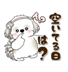 シーズー犬 2025 「約束・待ち合わせ」（個別スタンプ：2）