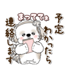 シーズー犬 2025 「約束・待ち合わせ」（個別スタンプ：3）