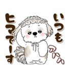 シーズー犬 2025 「約束・待ち合わせ」（個別スタンプ：4）