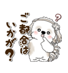 シーズー犬 2025 「約束・待ち合わせ」（個別スタンプ：5）