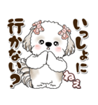 シーズー犬 2025 「約束・待ち合わせ」（個別スタンプ：6）