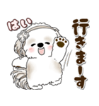 シーズー犬 2025 「約束・待ち合わせ」（個別スタンプ：7）