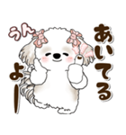 シーズー犬 2025 「約束・待ち合わせ」（個別スタンプ：8）