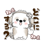 シーズー犬 2025 「約束・待ち合わせ」（個別スタンプ：9）