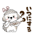 シーズー犬 2025 「約束・待ち合わせ」（個別スタンプ：10）