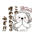 シーズー犬 2025 「約束・待ち合わせ」（個別スタンプ：11）