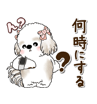 シーズー犬 2025 「約束・待ち合わせ」（個別スタンプ：14）