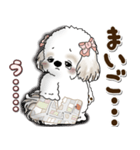 シーズー犬 2025 「約束・待ち合わせ」（個別スタンプ：16）