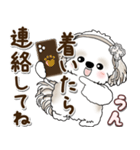 シーズー犬 2025 「約束・待ち合わせ」（個別スタンプ：17）