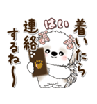 シーズー犬 2025 「約束・待ち合わせ」（個別スタンプ：18）