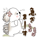 シーズー犬 2025 「約束・待ち合わせ」（個別スタンプ：19）