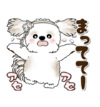 シーズー犬 2025 「約束・待ち合わせ」（個別スタンプ：20）