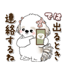 シーズー犬 2025 「約束・待ち合わせ」（個別スタンプ：21）