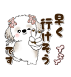 シーズー犬 2025 「約束・待ち合わせ」（個別スタンプ：22）