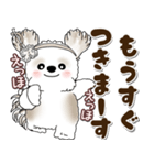 シーズー犬 2025 「約束・待ち合わせ」（個別スタンプ：23）