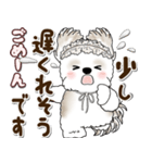 シーズー犬 2025 「約束・待ち合わせ」（個別スタンプ：24）