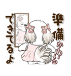 シーズー犬 2025 「約束・待ち合わせ」（個別スタンプ：25）