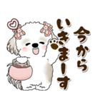 シーズー犬 2025 「約束・待ち合わせ」（個別スタンプ：26）