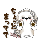 シーズー犬 2025 「約束・待ち合わせ」（個別スタンプ：27）