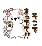 シーズー犬 2025 「約束・待ち合わせ」（個別スタンプ：28）