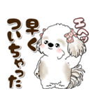 シーズー犬 2025 「約束・待ち合わせ」（個別スタンプ：29）